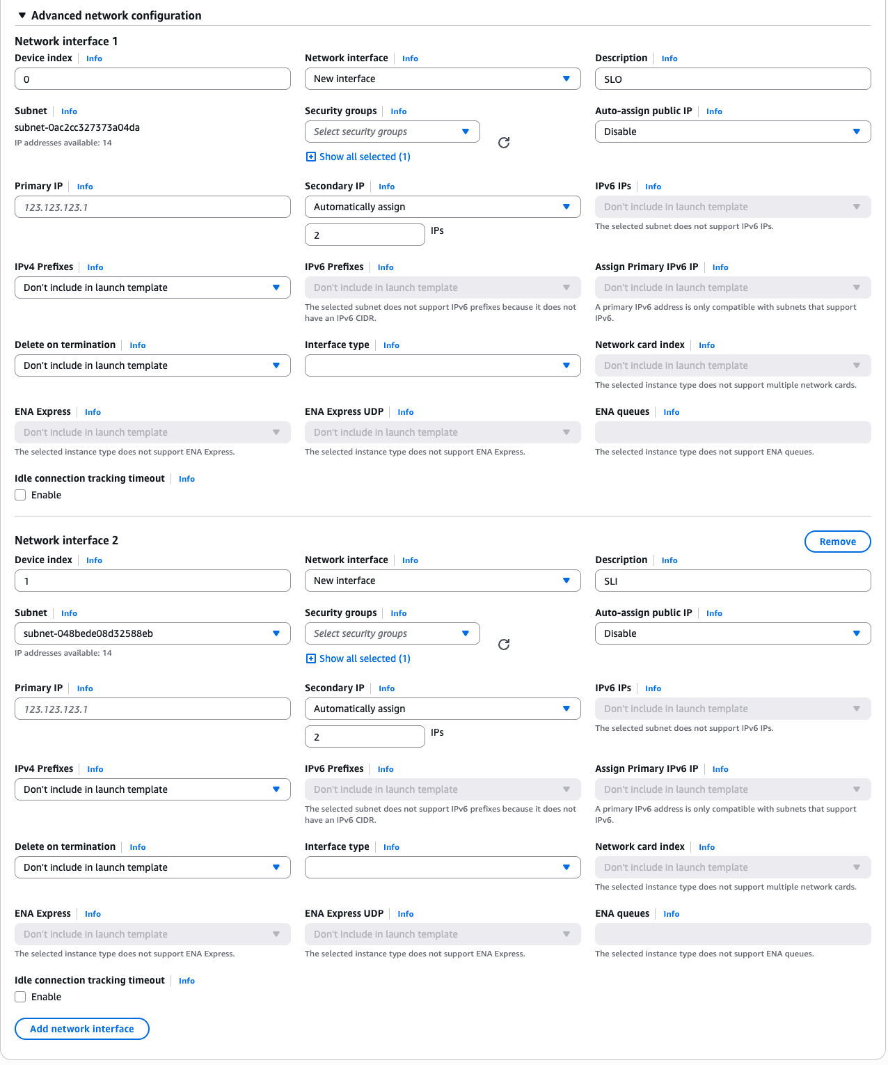 Figure: Add Network Interface(s)